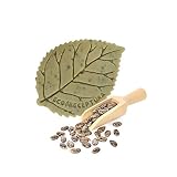 Jabón natural con aceite de ricino, aceite de oliva, aceite de coco, manteca de cacao y manteca de karité - Cuidado facial y corporal a base de principios activos naturales y extracto de flores