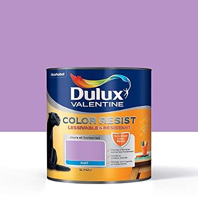 Dulux Valentine Peinture violet persistant DULUX VALENTINE Color resist 1 l