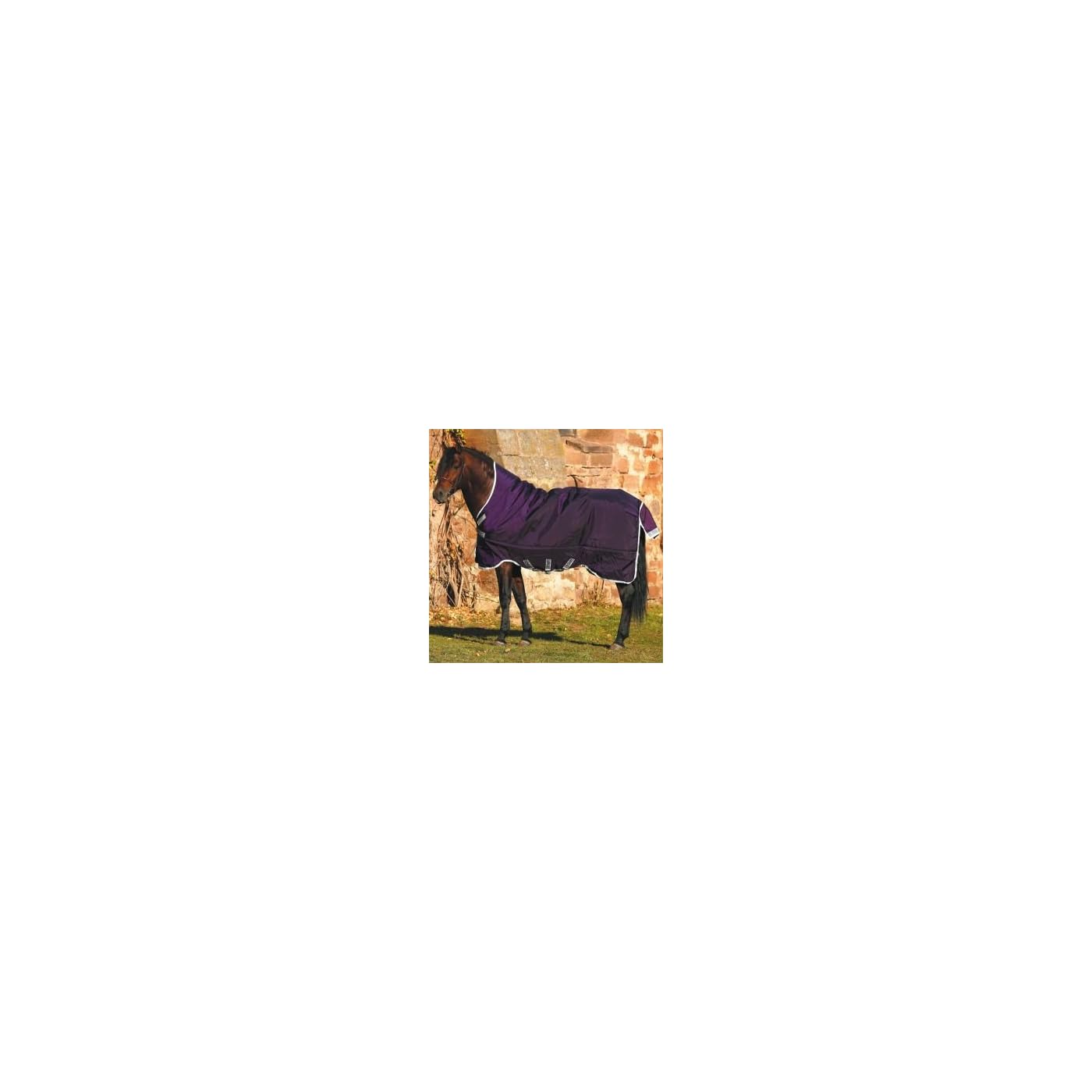 Horse ‘n’ Pony