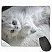 Produktbild Mouse Pad Cute Cat Rectangle Rubber Mousepad 11.81 X 9.84 Inch Gaming Mouse Pad with Black Lock Edge