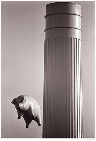 Pink Floyd Flying Pig, Battersea Dec 1976 Music Poster 23.5x33