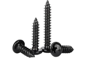 ORANXIN M4 x 25mm 50 Pcs Testa tonda Viti per legno Acciaio inossidabile 304 Zincato Nero Viti autofilettanti Croce Testa di Pan Coda a punta Viti auto perforazione