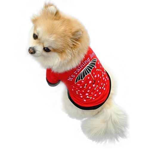 Kaiki-4-Size-New-Pet-Puppy-Small-Dog-Cat-Pet-Clothes-Vest-T-Shirt-Apparel-Hot