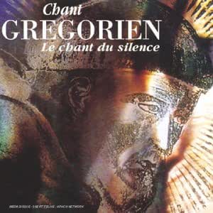 Chant Gregorien Le Chant Du Silence Artistes Divers Artistes Divers Amazon Fr Musique