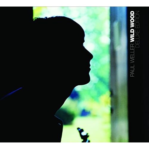 Image result for paul weller wild wood