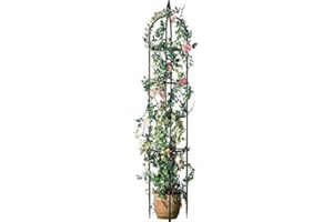 ABC HOME GARDEN ABC Home | Rankhilfe Obelisk | 240 cm H