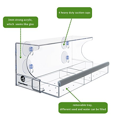 Frau Sauer Vogelhaus Fenster Modernes Vogelfutterhaus mit 4 haltbare Saugnäpfen, durchsichtiges Acryl - 3