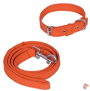 Quickato Dog Belt Combo of Orange Collar with Orange Dog Leash, Adjustable Neck Size 37-49 cm Dog Collar & Leash Dog Collar & Leash