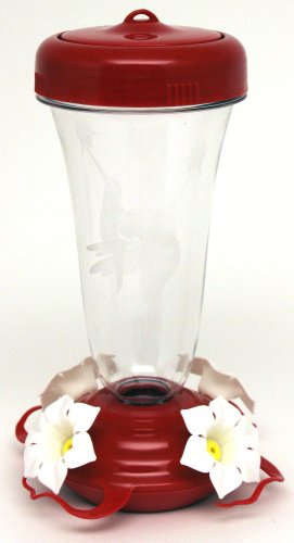 Preisvergleich Produktbild HB Top Fill Primrose