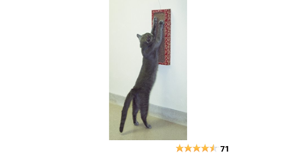 cat dancer wall scratcher