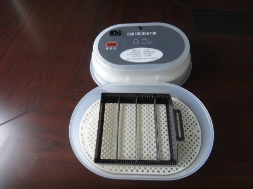 ZJchao Motorbrüter/Incubator/Inkubator/Brüter/Brutmaschine/Brutgerät/Flächenbrüter mit Umluftmotor - 6