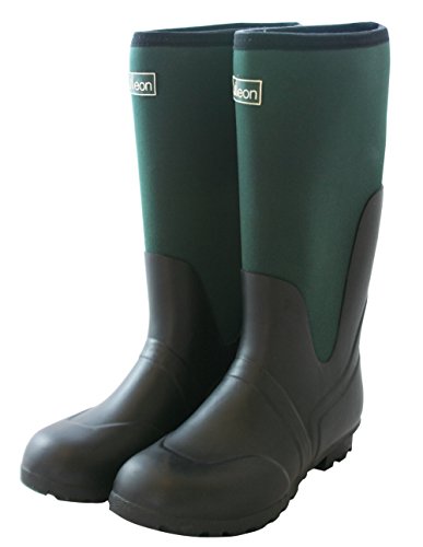 « Click to Enlarge and to go to Amazon »