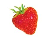 Image de I Eat Fruit!