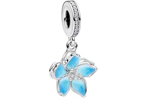 Feitery Compatible with Charms Pandora Armband Reisen Bead Charms für Damen Herz Anhänger Meerestiere