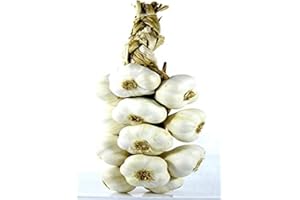 Jemangefrancais Tresse D'Ail Blanc, 1 kg