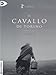 Il Cavallo Di Torino (Dvd)