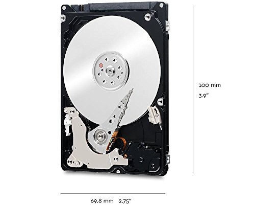 WD Black - Disco duro de alto rendimiento para ordenadores de sobremesa de 500 GB  7200 rpm  SATA a 6 Gb s  32 MB de cach    2 5  