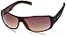Fastrack Wrap Sunglasses (Brown) (P089BR2) RS.668.00