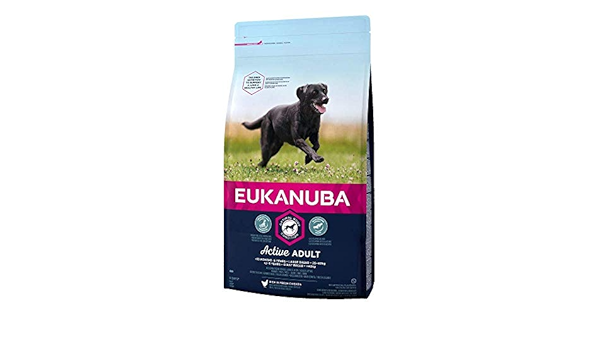 eukanuba active