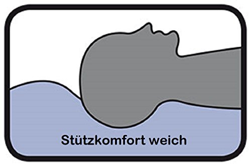 Böhmerwald 109603-35 Trio-Kopfkissen, 80 x 80 cm, 800 g und 200 g - 5