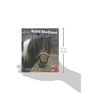 Ponis Shetland/Shetland Ponies (Pebble Bilingue / Pebble Bilingual: Cabollos / Horses)