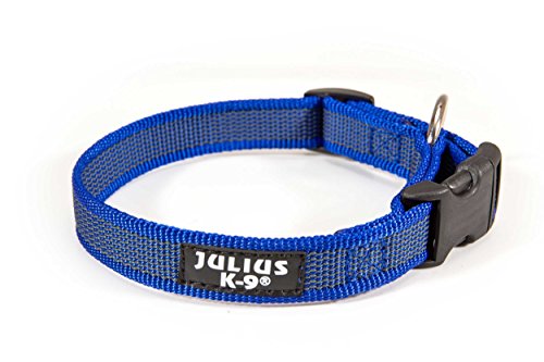 JULIUS-K9-Color-Gray-Collar