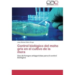Control biológico del moho gris en el cultivo de la mora: Uso de hongos antagonistas para el control biológi