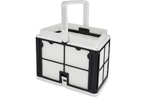 Fiitzn Ultra Fine Filtration Basket Compatible with Dolphin Robotic Pool Cleaners: S50, Active 10, Echo, Nautilus CC, Encore, E10, Solo, and Advantage.Maytronics Part Number: 9991460-R1
