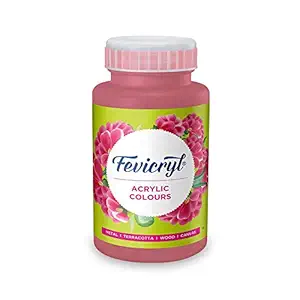 Pidilite Fevicryl Acrylic Colour, Salmon Pink Acrylic Paint, 500 ml, Art and Craft Paint, DIY Paint, Rich Pigment, Non-Craking Paint for Canvas, Wood, Leather, Earthenware, Metal