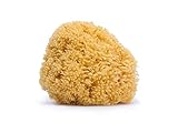 Por su suavidad, gran poder de absorción y tamaños disponibles, es la esponja ideal para el cuidado del bebé y de toda la familia