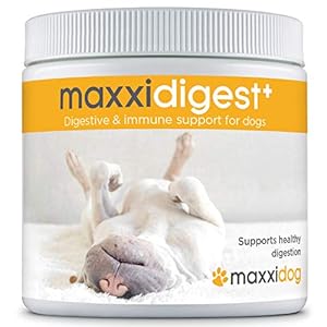maxxidog – maxxidigest+ Probióticos, prebióticos y enzimas digestivas para Perros – Ayuda Avanzada a la digestión Canina & al Sistema inmunológico – Sin Polvo OGM – Dos tamaños 200 g & 375 g