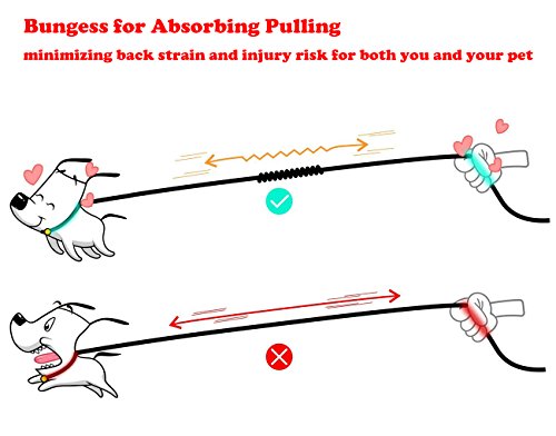 Laisse-double-pour-chien-ou-animal-domestique-Matire-lastique-rflchissante-Absorption-des-chocs--360--Sans-nuds-Marcheentranement-avec-deux-chiens-Sac-ramasse-crottes-inclus