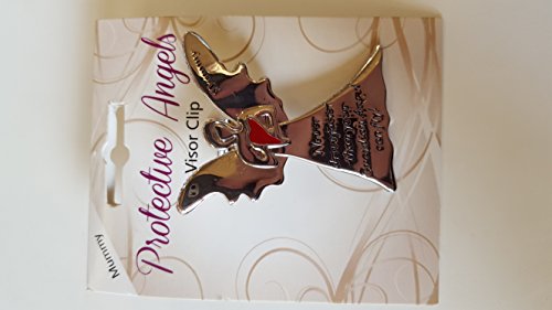 Preisvergleich Produktbild Schutz Schutzengel Auto / Auto Visier RX100 Mummy