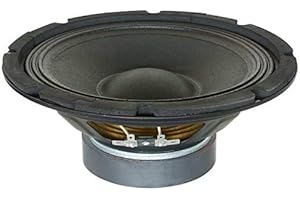 Skytec SP1200 Haut-parleur 12 pouces (30 cm) - 300 Watts max, Suspension dure, Bobine résistante à la chaleur, Aimant ventilé, Idéal pour enceinte HIFI ou HP de remplacement