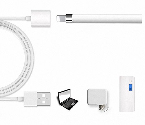 Bleistift Ladekabel für Apple Pencil ,1m männlich zu weiblich - 2