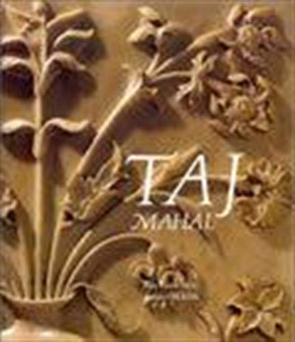Télécharger Taj Mahal Gratuit