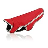 ★ ADORABLE Y FÁCIL ENCENDIDO / APAGADO - Conveniente con broches bonitos en ropa para perros y accesorios, abrigo de invierno, perfecto para perros de niña y niños.
