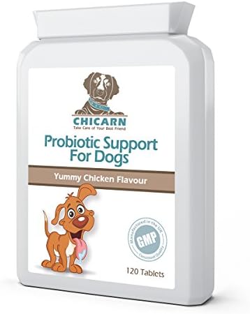 Dog Probiotics Supplements Tablets Pro Vital Advanced (120) - Added Dog Digestive Enzymes &amp; Prebiotics Inulin - Dog Diarrhoea Treatment For Dogs - 5 Strain Probiotic Blend 2 Billion CFU - Healthy Bacteria for Dogs - UK MANUFACTURED - ALL NATURAL