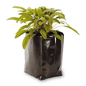 Unique Plastic Industries Plastic Poly Grow Bags, Set of 25 (14 cm x 10 cm x 25 cm, Black)