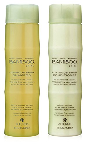 Preisvergleich Produktbild ALTERNA BAMBOO SHINE Duo je 250ml