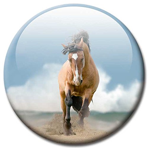 Magnettafel Pferd am Meer – Faszinierende Design Metall Magnettafel 60×40 cm – Pinnwand Memoboard mit Motiv: Pferd am Meer Ocean Horse – inkl. 6 Magnete Pferde am Meer Ocean Horses für Magnetwand – Original Magnetpinnwand GUMA Magneticum - 8