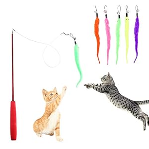 HO2NLE Caña Gatos Varilla 5Pcs Juguetes para Gatos Interactivos Plumas de Colores Llamativos Caña Retráctil Varita Juguete para Mascota Ajustable Cat Varita Cat Toy Wand para Gatos y Gatitos