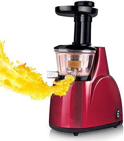 GLJXG Juicer Household Multifunction Fully automatic Fruit and vegetable extract juicer Mixer