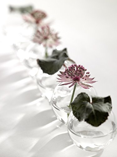 Serax Vase Kettenvase Minivase Sechser Kugel sechsteilig 26 x 4,5 cm - 2