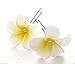 2 Large Plumeria Flower Hair Pins Frangipani Pearl Beach Bridal Wedding Clip Exclusively Sold By Starcrossed Beauty h49