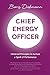 Chief Energy Officer: Universal Principles to nurture a Spirit of Performance (English Edition) by Boris Diekmann