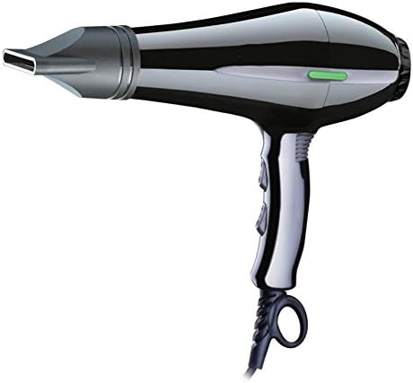 NWYJR Hairdryer Professional Hair Blow Dryer 1600 W Black Heat Speed Blower Dry Watt F818