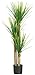 Produktbild Nearly Natural 5237 Yucca Silk Tree, 58.5-Inch, Green by Nearly Natural