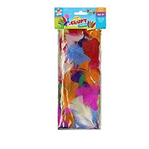 AnkerKids Create, Arts & Crafts, Mixed Pack of Feathers, Assorted, 29.7x21x2 cm