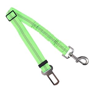 UEETEK Cinturón de Seguridad de Coche para Perro Gato Mascotas Correa Extensible Reflectante Ajustable 53-74cm Verde